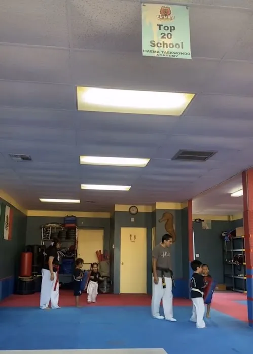 HAEMA TAEKWONDO ACADEMY Picture 1
