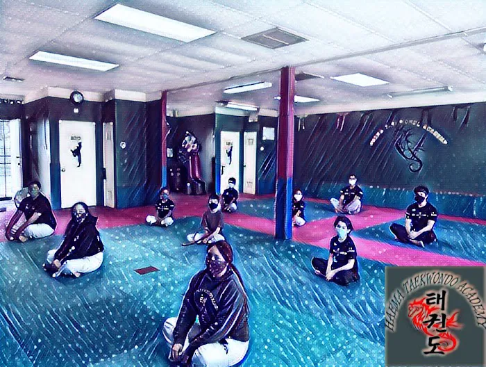 HAEMA TAEKWONDO ACADEMY Picture 2