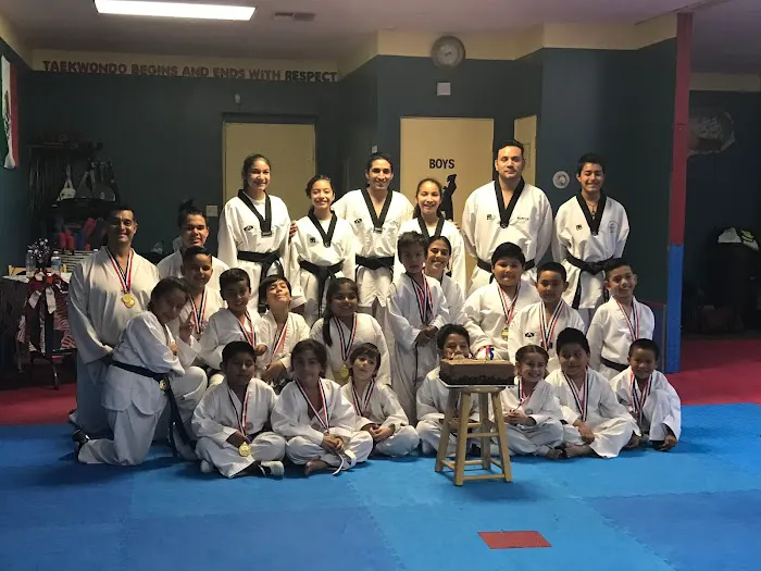 HAEMA TAEKWONDO ACADEMY Picture 7