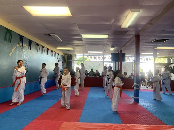 HAEMA TAEKWONDO ACADEMY Picture 6
