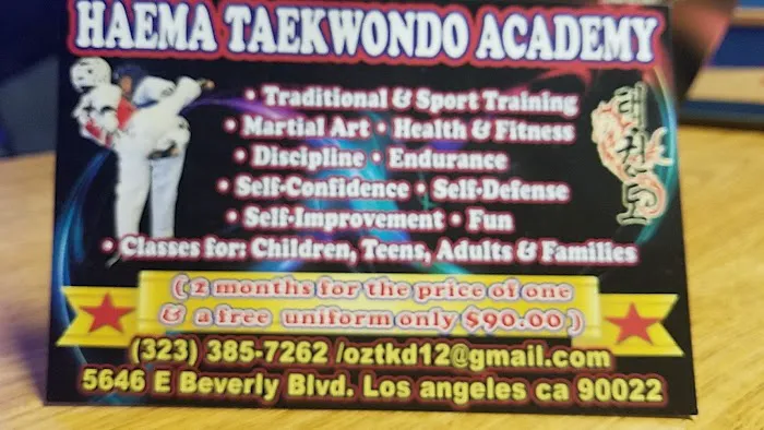 HAEMA TAEKWONDO ACADEMY Picture 5