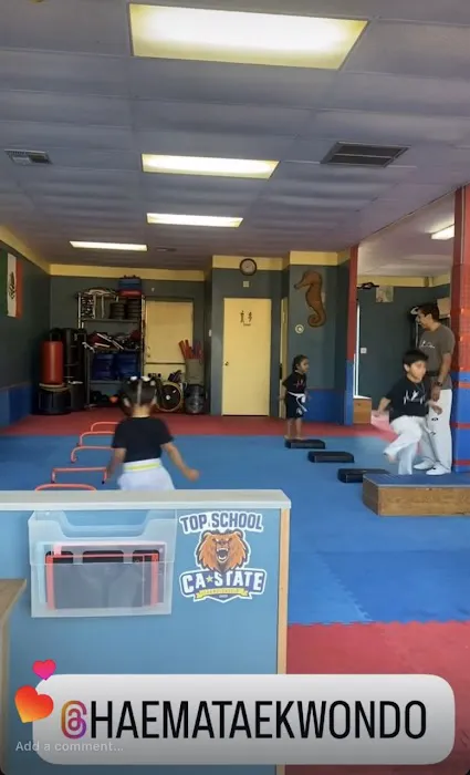 HAEMA TAEKWONDO ACADEMY Picture 9