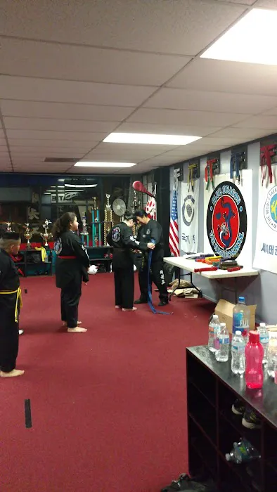 Blue Dragon Tae Kwon Do School Picture 3