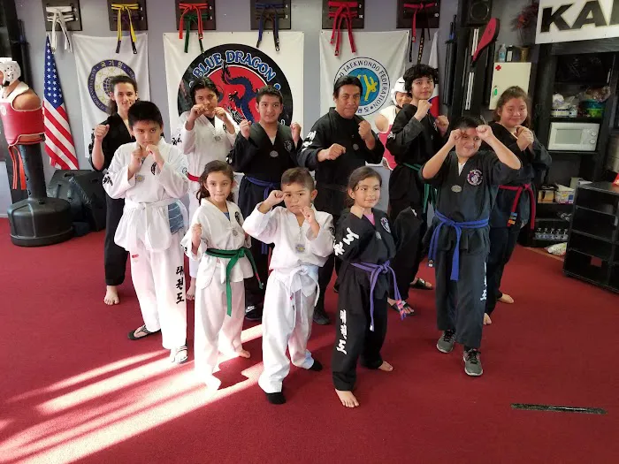 Blue Dragon Tae Kwon Do School Picture 5