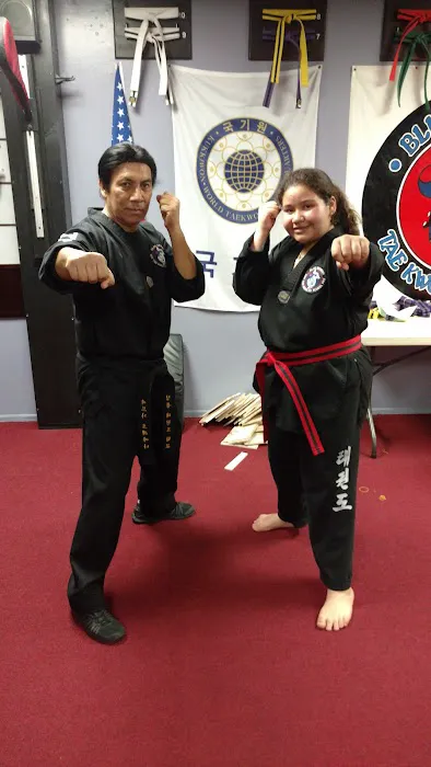 Blue Dragon Tae Kwon Do School Picture 2