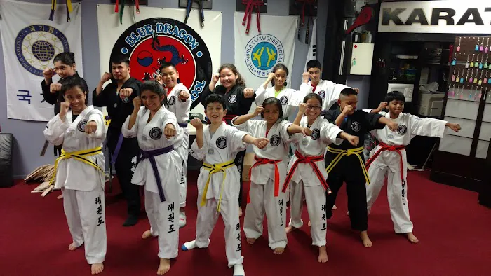 Blue Dragon Tae Kwon Do School Picture 4