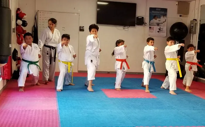 Seishin Karate Dojo Picture 2