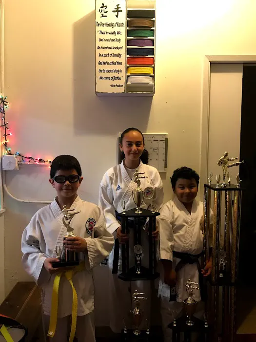 Seishin Karate Dojo Picture 5