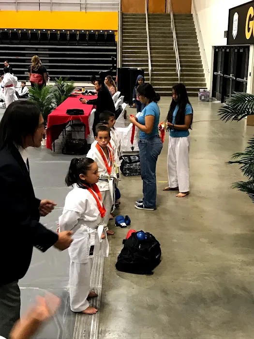 Seishin Karate Dojo Picture 7