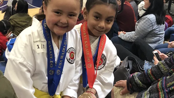 Seishin Karate Dojo Picture 9