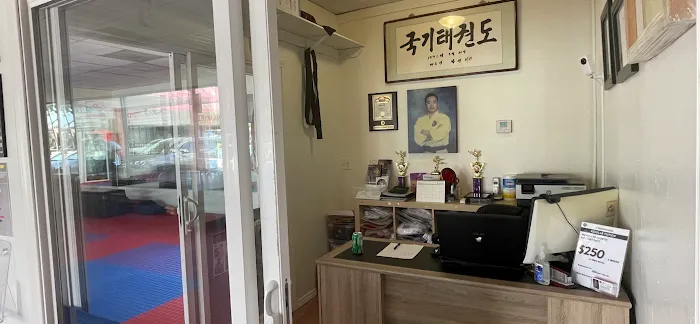 K Taekwondo - Glendale Picture 4