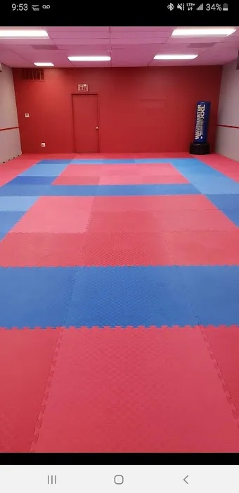 Arman's Taekwondo Picture 2