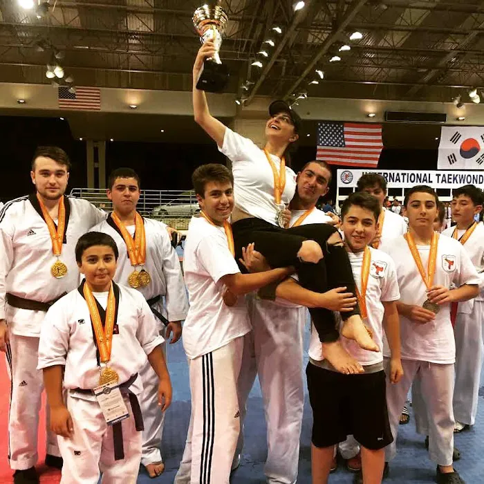 Arman's Taekwondo Picture 4