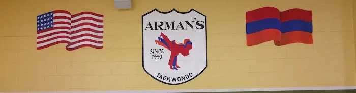 Arman's Taekwondo Picture 3