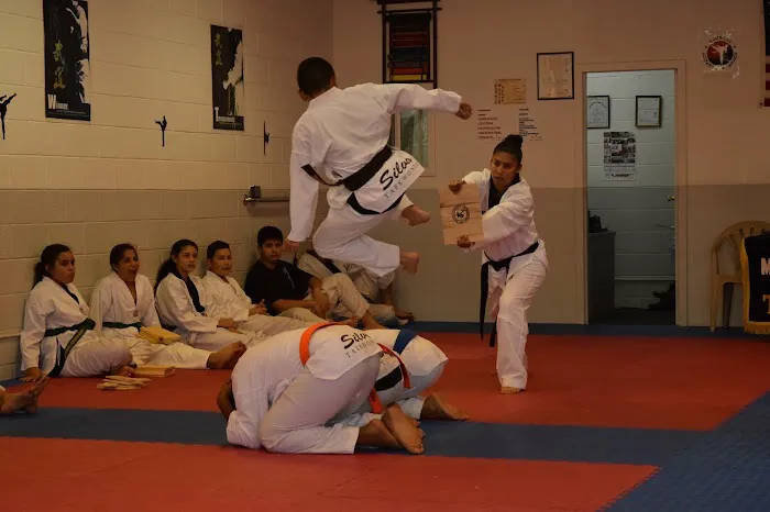 Silva Taekwondo Picture 1