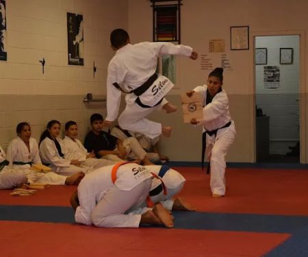 Silva Taekwondo
