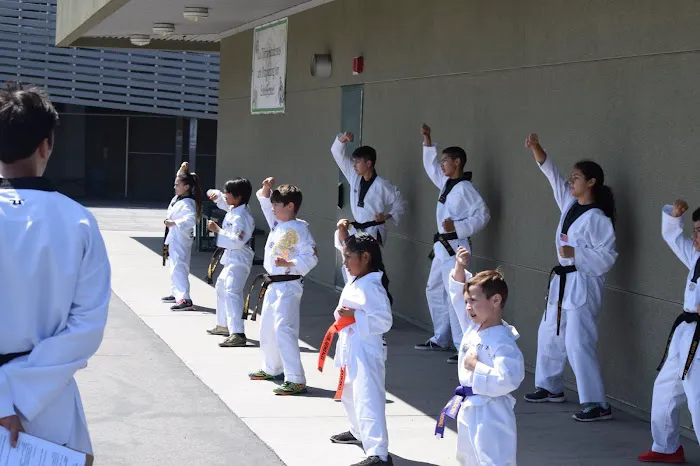 Silva Taekwondo Picture 3