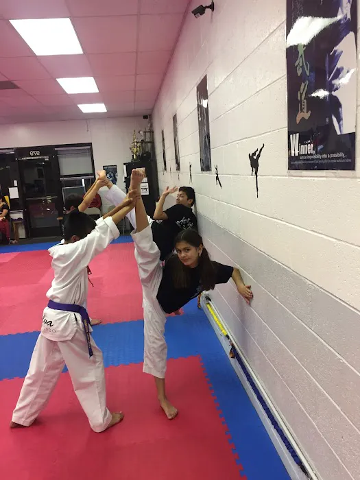 Silva Taekwondo Picture 4