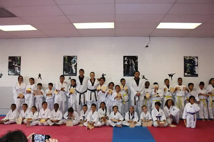 Silva Taekwondo Picture 8
