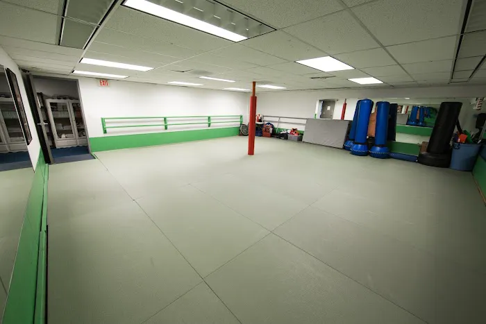 Jun Chong Martial Arts Academy Picture 4