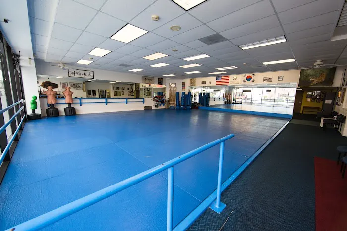 Jun Chong Martial Arts Academy Picture 6