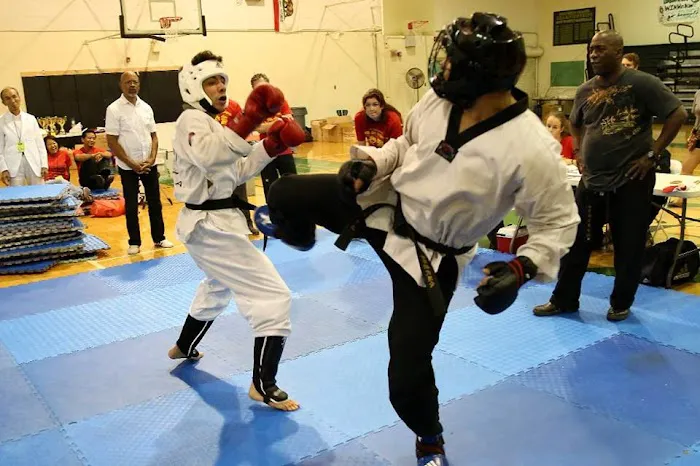 Jun Chong Martial Arts Academy Picture 8