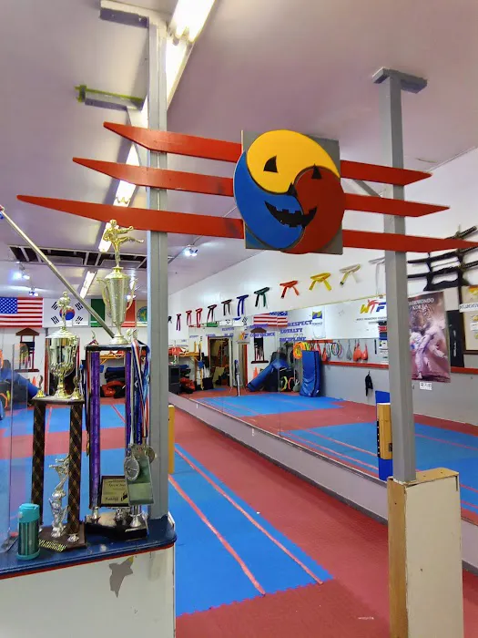 INT'l Taekwondo South Gate CA Picture 3