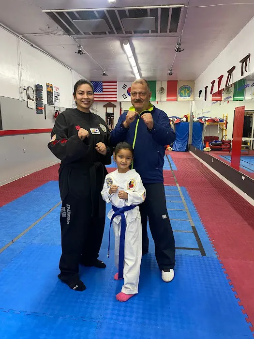 INT'l Taekwondo South Gate CA Picture 7