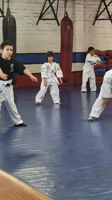 Morales Tae Kwon Do & Kick Boxing Picture 4