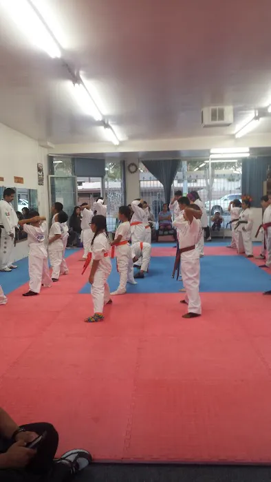 Karate Azteca Tae Kwon DO Picture 3
