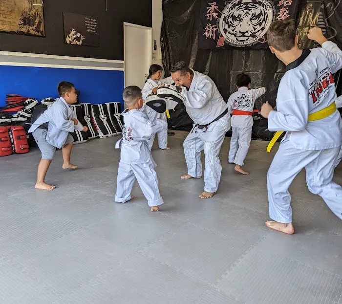 Tiger Martial Arts Picture 1