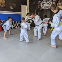 Tiger Martial Arts ico