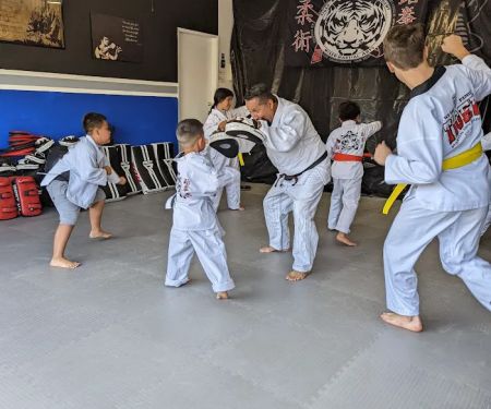 Tiger Martial Arts