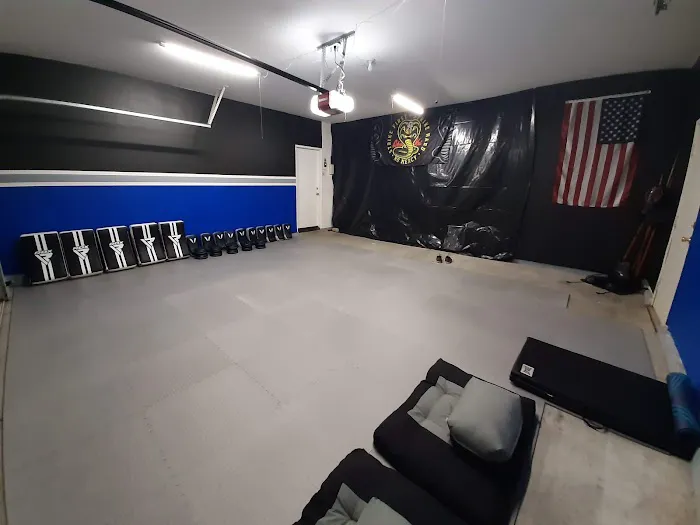 Tiger Martial Arts Picture 3