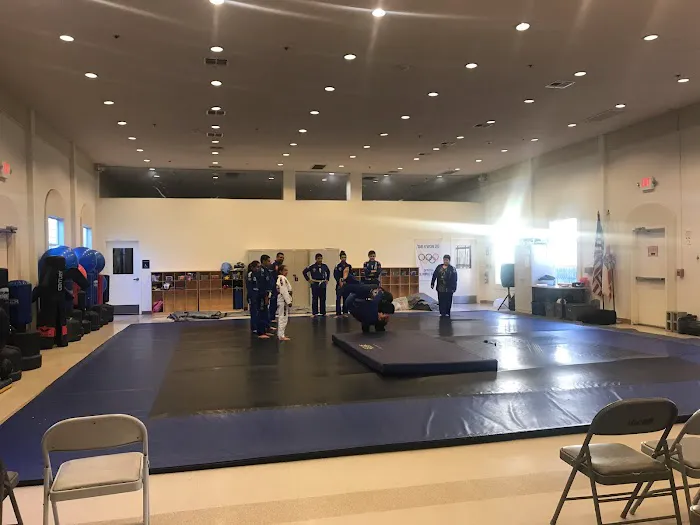 Tiger Martial Arts Picture 4