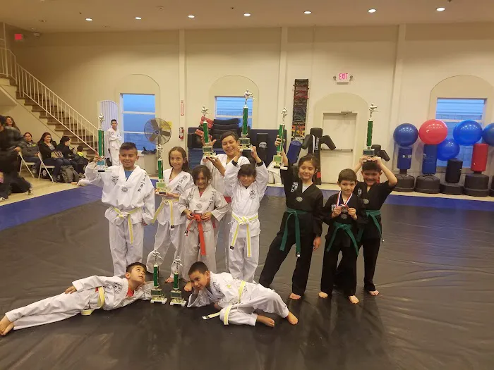 Tiger Martial Arts Picture 2