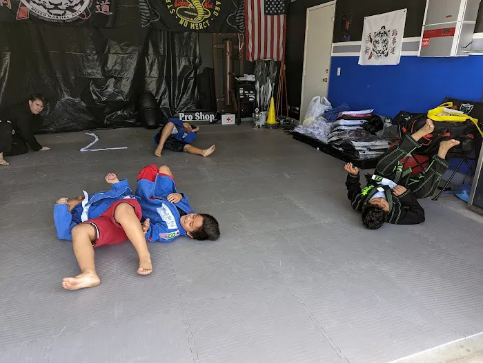 Tiger Martial Arts Picture 8