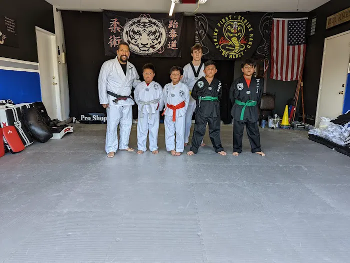 Tiger Martial Arts Picture 5