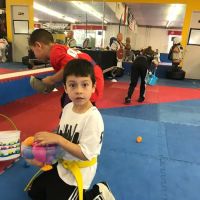 Villa's Taekwondo ico