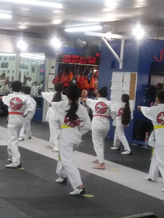 Villa's Taekwondo Picture 2