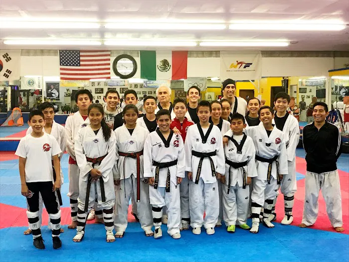 Villa's Taekwondo Picture 3