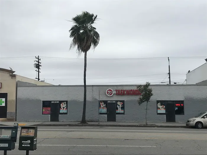 Villa's Taekwondo Picture 6