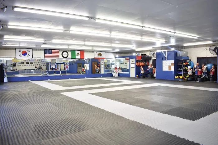 Villa's Taekwondo Picture 10