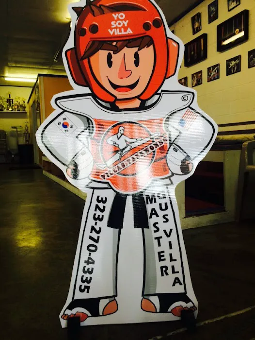 Villa's Taekwondo Picture 7