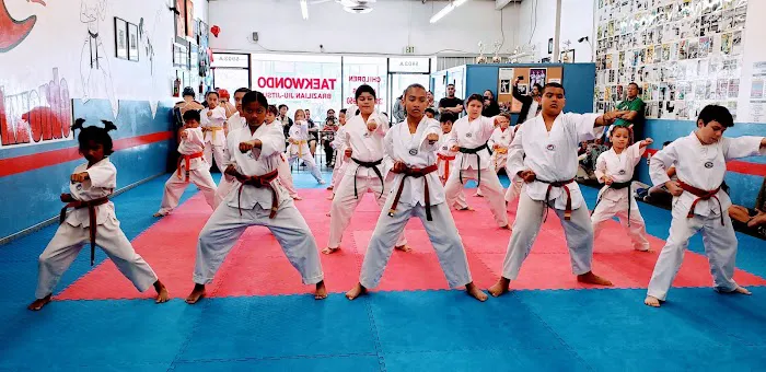 Lima Taekwondo & Brazilian Jiu Jitsu Academy Picture 1