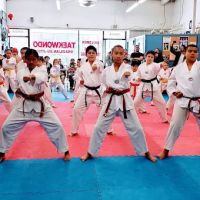 Lima Taekwondo & Brazilian Jiu Jitsu Academy ico