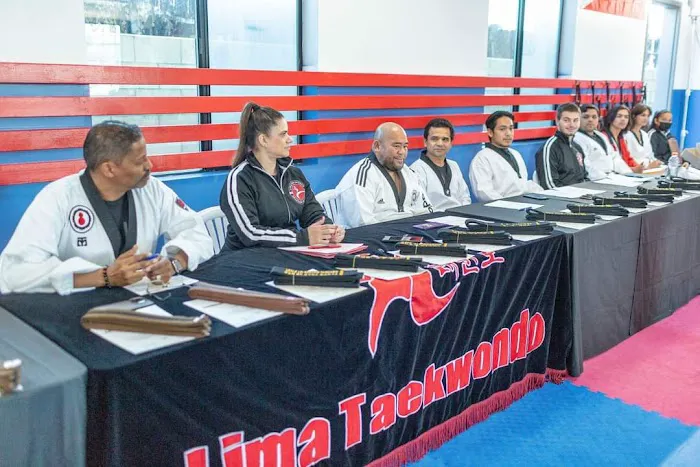 Lima Taekwondo & Brazilian Jiu Jitsu Academy Picture 6
