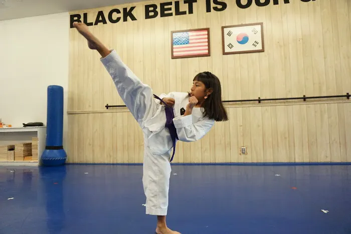 Double Dragon Tae Kwon Do Picture 2