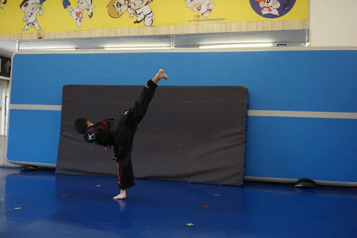 Double Dragon Tae Kwon Do Picture 1