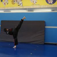 Double Dragon Tae Kwon Do ico